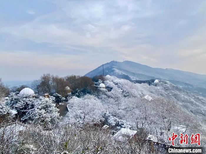 14日，俯瞰南京紫金山雪景。　陳向陽(yáng) 攝