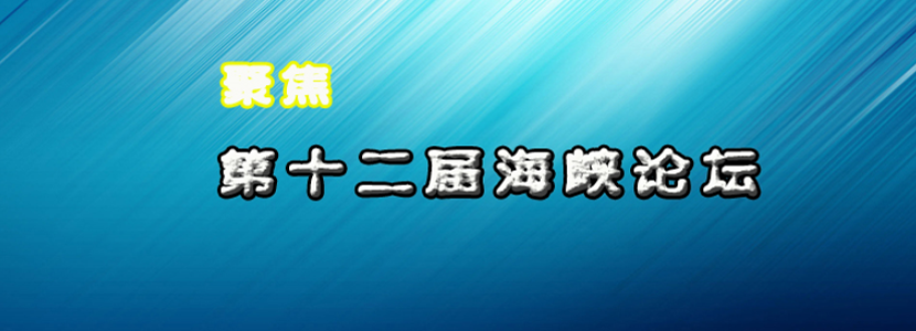 跨海十二年（一）第十二屆海峽論壇亮點