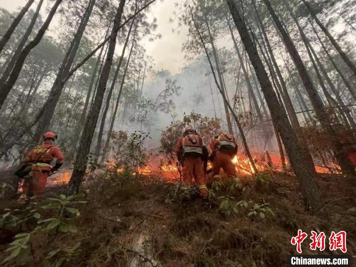 森林消防指戰(zhàn)員在火場(chǎng)撲打?！M東飛 攝