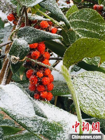 三明市泰寧縣雪景?！〗愊?攝