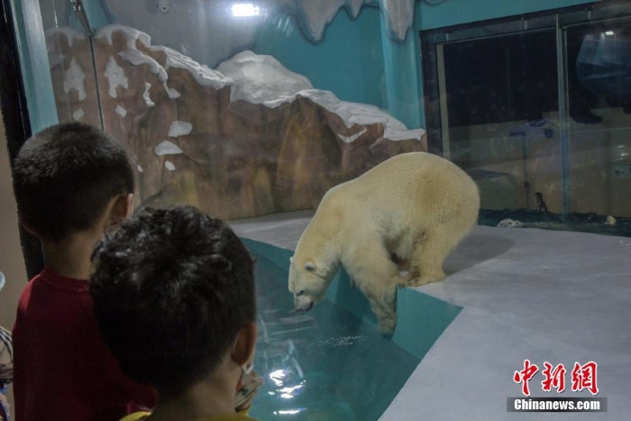哈爾濱北極熊酒店正式開(kāi)門迎客