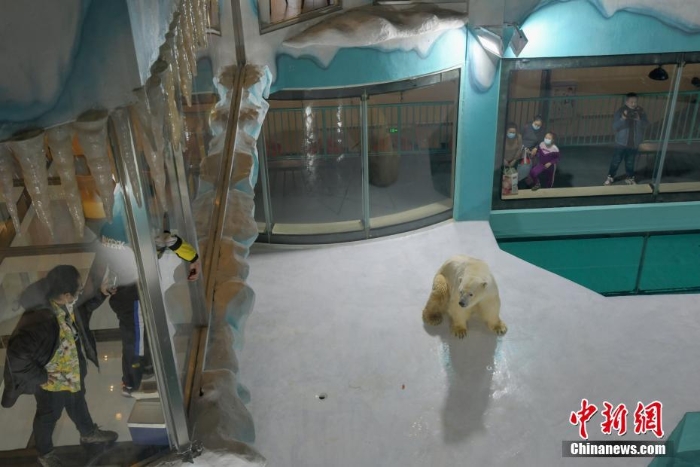 哈爾濱北極熊酒店正式開(kāi)門迎客