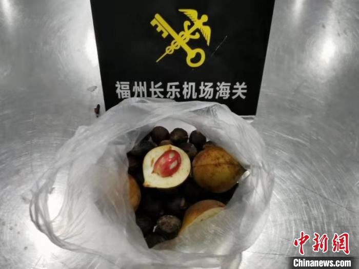福州長樂機場海關首次在旅檢渠道截獲肉豆蔻種子