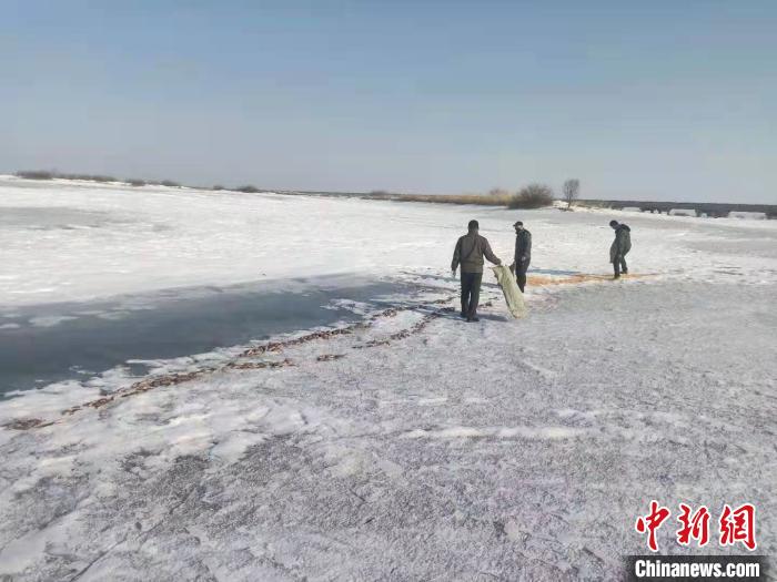 工作人員在投食玉米。撓力河保護(hù)區(qū)提供