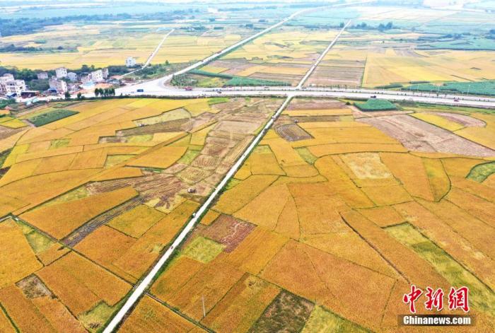 資料圖：鄉(xiāng)間農(nóng)田。 周貽剛 攝