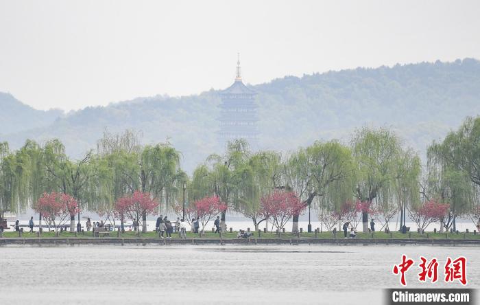 圖為杭州西湖。　王剛 攝