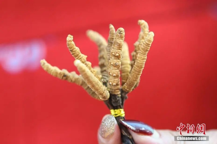 點(diǎn)擊進(jìn)入下一頁(yè)