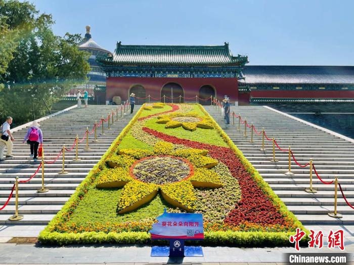 天壇公園的“葵花朵朵向陽開”主題花壇。　北京市公園管理中心供圖