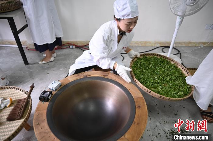 6月25日，四川成都邛崍夾關(guān)鎮(zhèn)，工作人員準(zhǔn)備對茶葉進行殺青?！埮d龍 攝