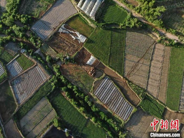 圖為監(jiān)測到的象群?！≡颇鲜∩窒揽傟牴﹫D