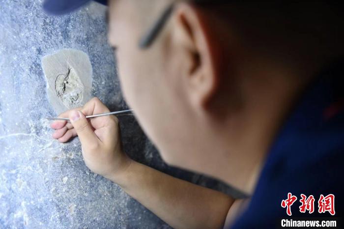 李曉洋正小心翼翼地用修復(fù)刀剔除壁畫表面的污染物?！埨?攝