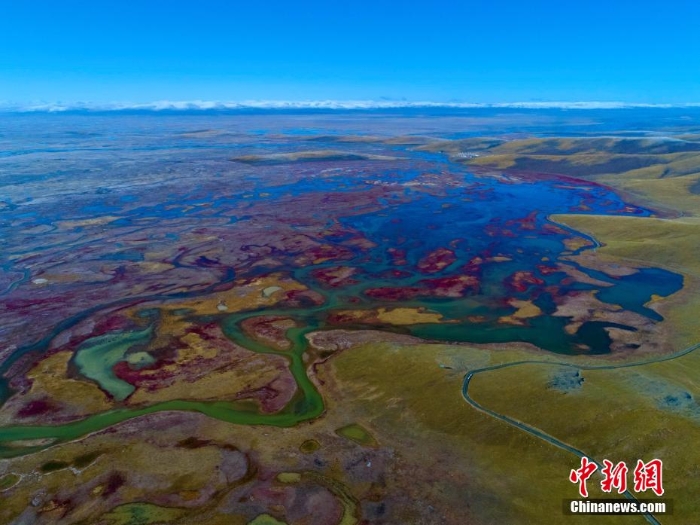 張張壁紙！黃河源頭秋景惹人醉