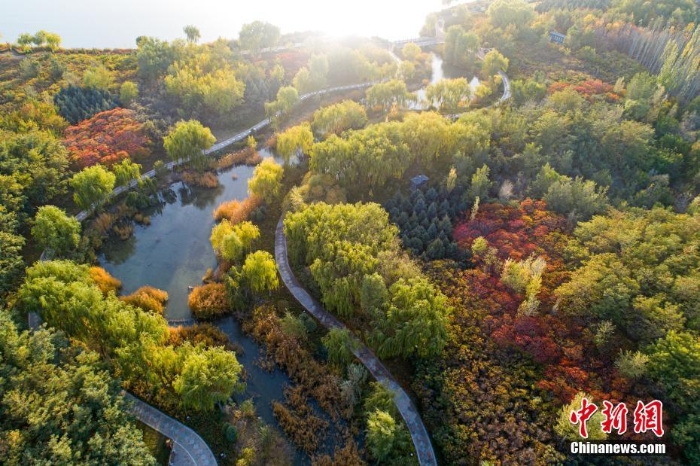 甘肅張掖：金秋蘆水灣層林盡染宛如油畫(huà)