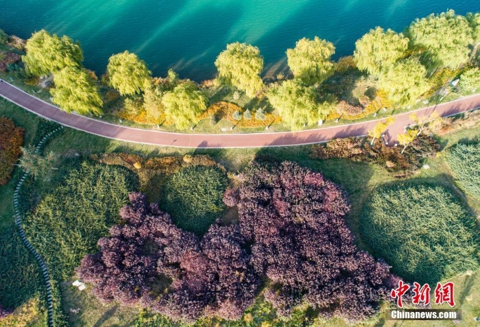 甘肅張掖：金秋蘆水灣層林盡染宛如油畫(huà)