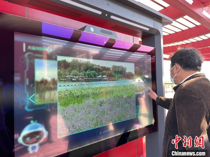 一名游客在月島觀景臺(tái)上使用導(dǎo)覽大屏?！堨蠚g 攝