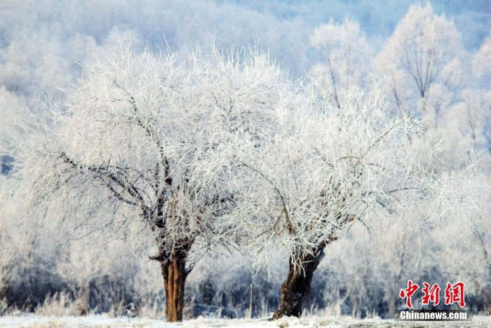 內(nèi)蒙古額爾古納迎來(lái)今年首場(chǎng)霧凇景觀