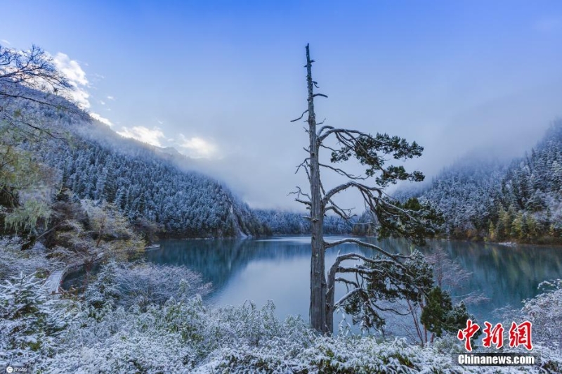 四川九寨溝秋意正濃 高海拔區(qū)域迎降雪