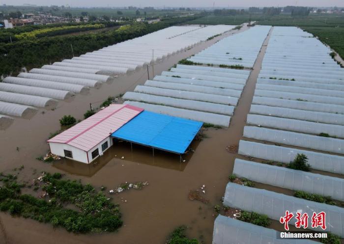 資料圖：被淹的大棚。 <a target='_blank' href='http://www.chinanews.com/'>中新社</a>記者 鄒浩 攝
