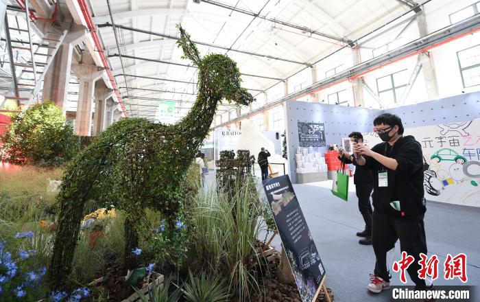 圖為：參觀者在“植物空間站”拍照打卡?！⊥鮿?攝