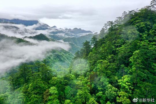 點(diǎn)擊進(jìn)入下一頁(yè)