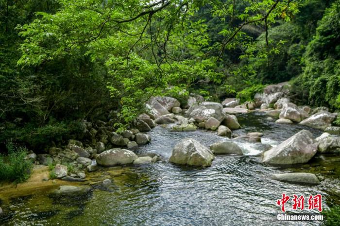 圖為海南熱帶雨林國(guó)家公園體制試點(diǎn)區(qū)吊羅山片區(qū)南喜峽谷內(nèi)的河流。