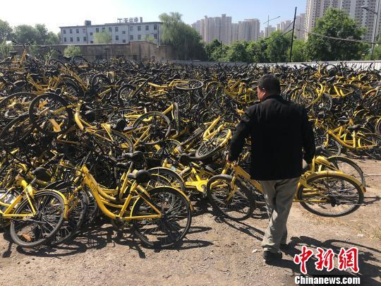 工作人員將回收的共享單車集中擺放在一起?！№f亮 攝