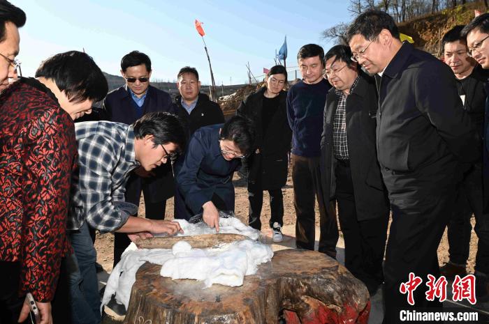 11月12日，山東省文旅廳廳長王磊一行調(diào)研跋山遺址，在工地觀察出土的象牙鏟?！」渥?攝