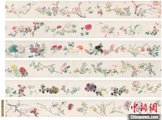 周之冕 《百花圖卷》手卷，設(shè)色紙本，尺寸32×1717 cm?！≈袊蔚鹿﹫D