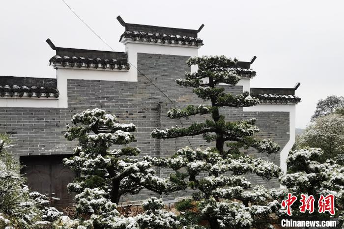 圖為：寧波奉化溪口鎮(zhèn)三十六灣村雪景在粉墻黛瓦襯托下呈現(xiàn)獨特江南景致。　袁建成(通訊員) 攝