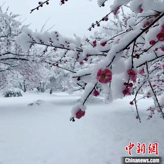 安徽近70家旅游景區(qū)因雪天臨時關閉
