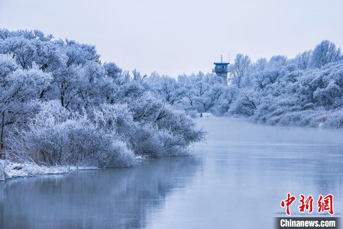 興凱湖的霧凇美景?！∷蝹鬈?攝