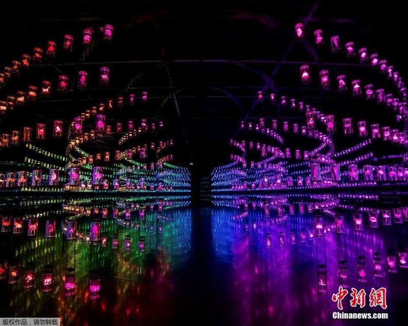迪拜未來(lái)博物館盛大開幕 燈光秀科幻動(dòng)感