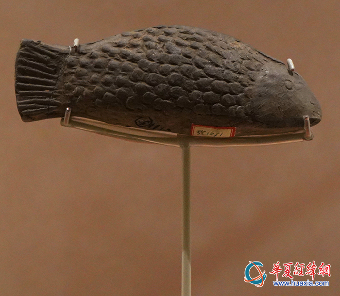 陶魚(yú)