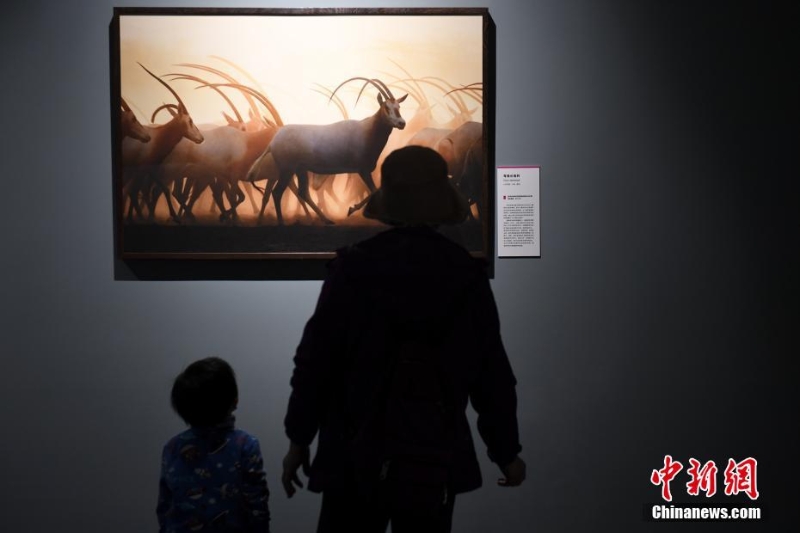 “消失中的世界——瀕危動物攝影展”亮相北京自然博物館