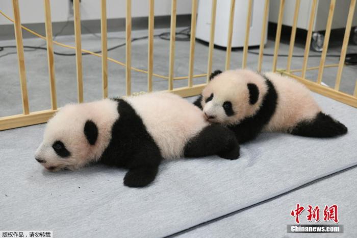 點擊進(jìn)入下一頁