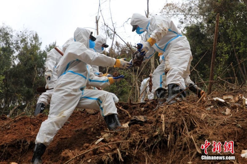 東航墜機(jī)救援現(xiàn)場(chǎng)：武警官兵分批次、分區(qū)域搜索