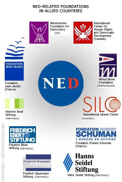 NED活動