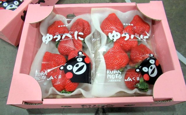 日本進口的草莓因農(nóng)藥超標而遭退運。（照片：臺“食藥署”提供） 圖片來源：香港“中評社”.jpg