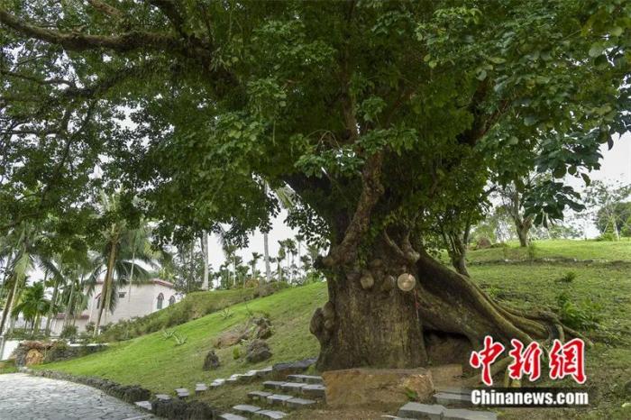 點(diǎn)擊進(jìn)入下一頁