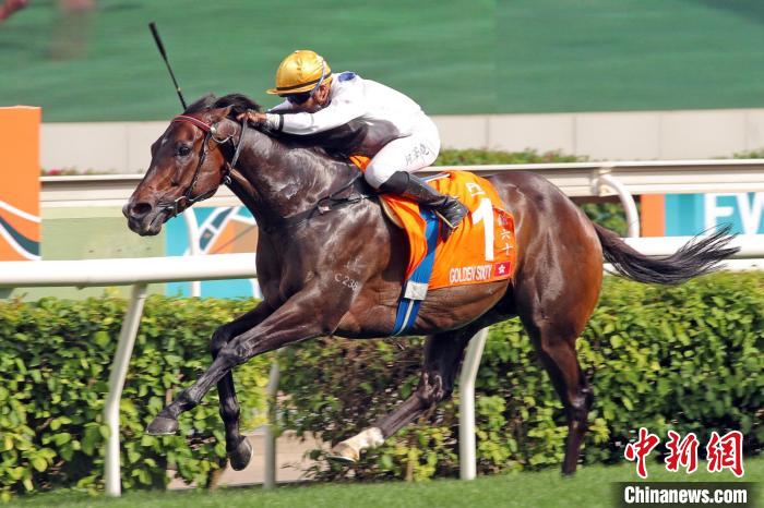 香港馬王“金槍六十”刷新香港賽駒的頭馬紀錄，并成為香港歷來累積最多獎金的賽駒?！∠愀圪愸R會 攝