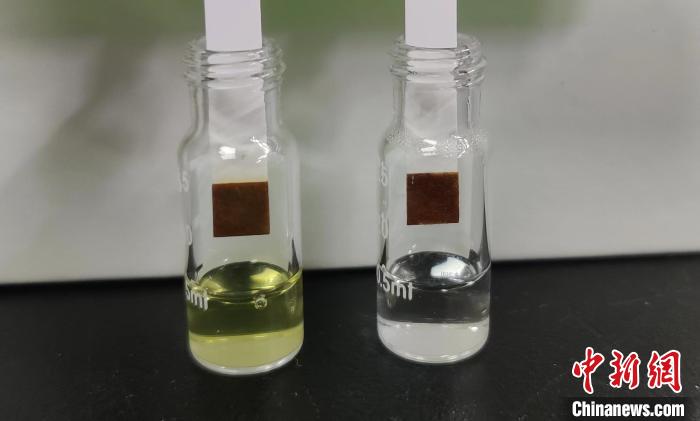 改造后用于制備葡萄糖的酵母菌株發(fā)酵液(棕色溶液)，及制備的葡萄糖(白色溶液)?！⊙芯繄F(tuán)隊(duì) 供圖