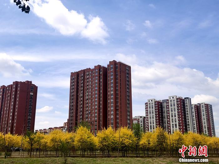 資料圖。<a target='_blank' href='/' >中新網(wǎng)</a>記者 李金磊 攝
