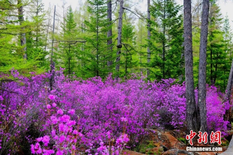 點(diǎn)擊進(jìn)入下一頁(yè)
