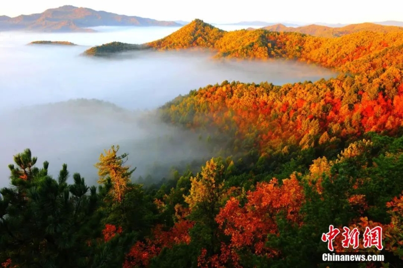 點(diǎn)擊進(jìn)入下一頁(yè)