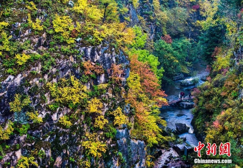 點(diǎn)擊進(jìn)入下一頁(yè)