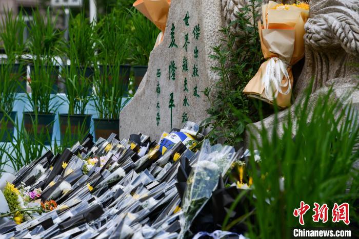 5月22日，在西南大學(xué)校園內(nèi)的袁隆平雕像被鮮花、水稻植株圍繞。　何蓬磊 攝