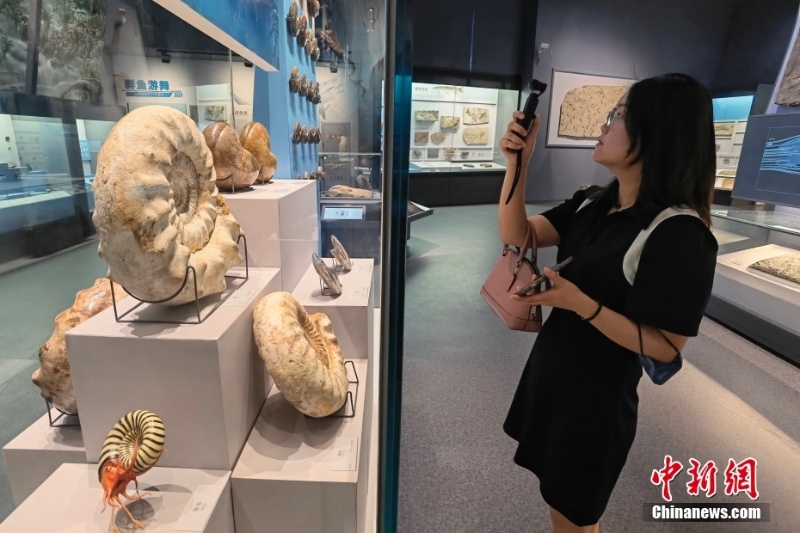 探訪布展完畢的四川成都自然博物館
