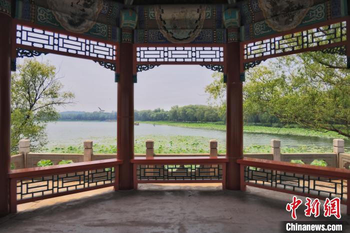 圖為今夏的頤和園。　北京市公園管理中心供圖