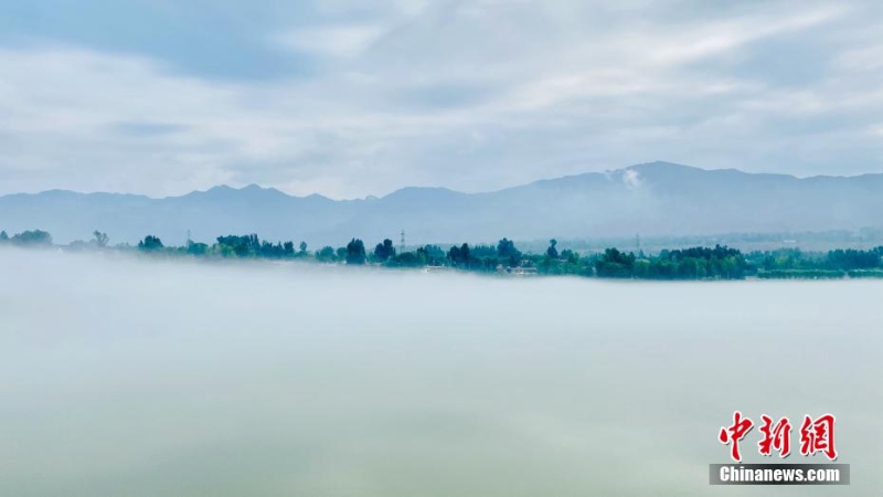 青海尖扎：薄霧、群山、綠樹勾勒黃河夏日圖景