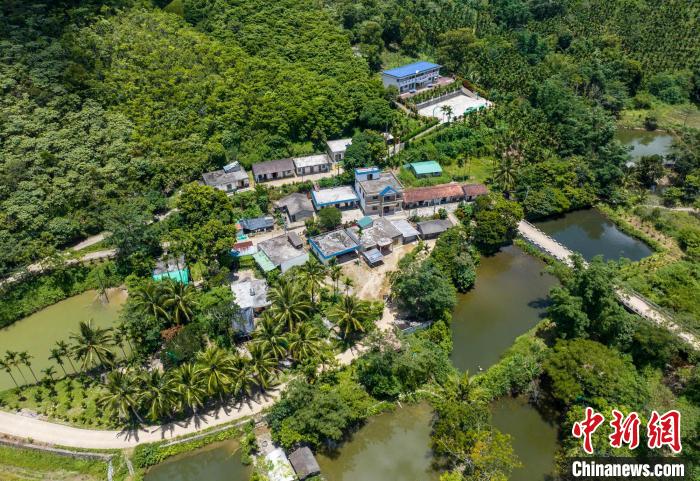 圖為航拍海南省保亭黎族苗族自治縣什玲鎮(zhèn)水賢村?！●樤骑w 攝
